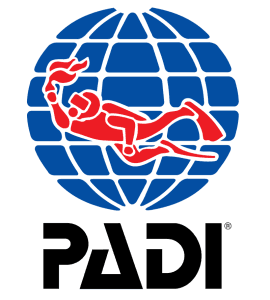Partner logo 1