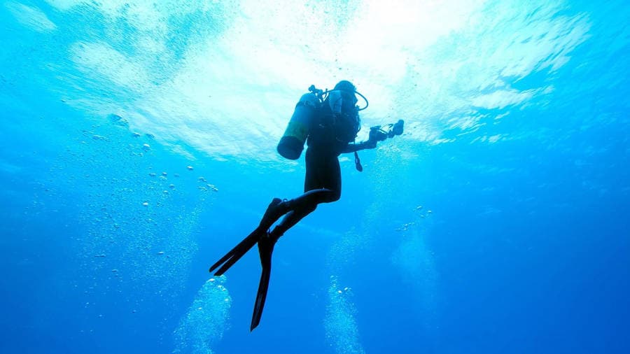 Scuba diver gliding over the ocean, Seahorse Diving hero image