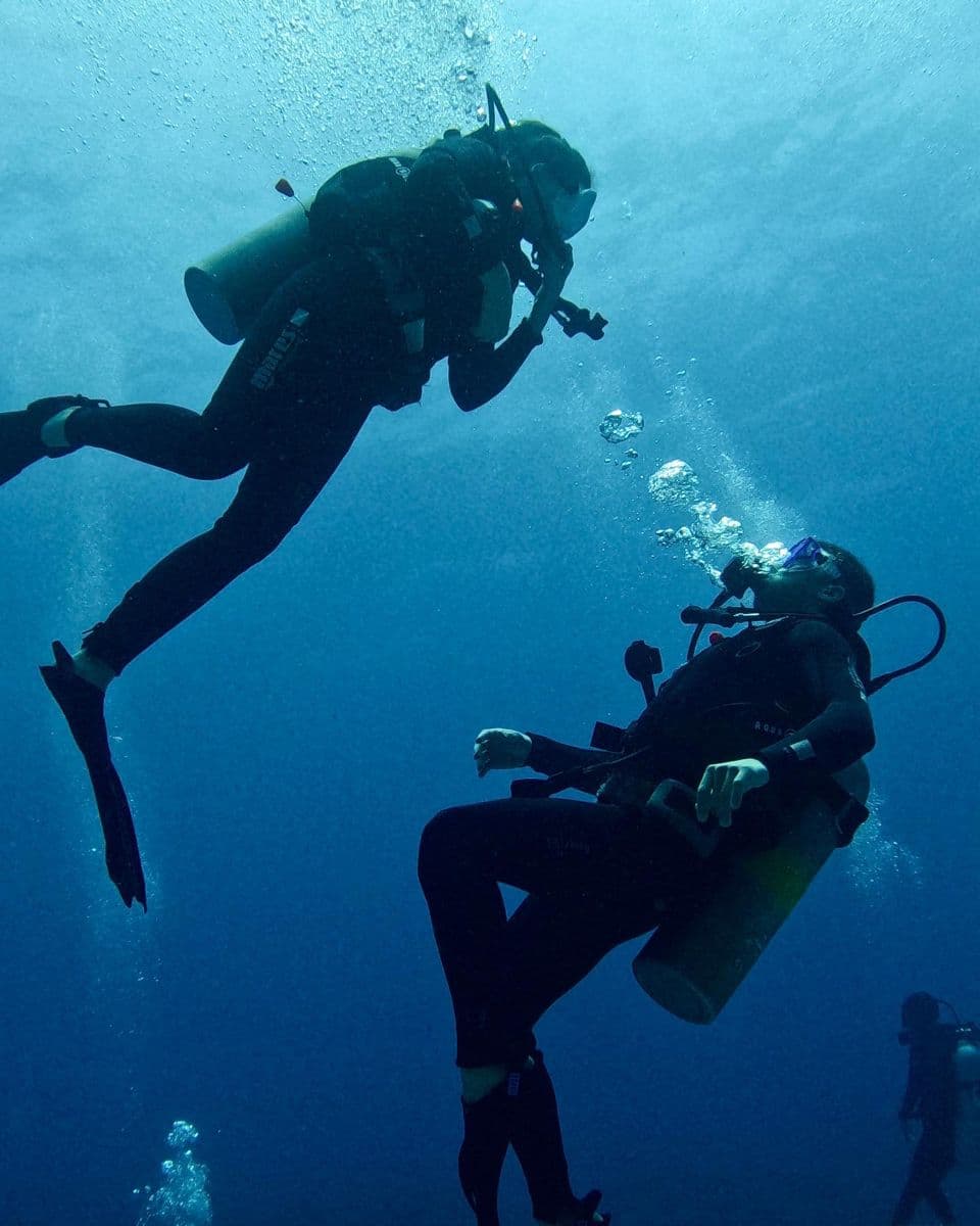 Try Diving